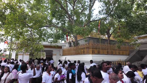 gathering of sri lankan buddhists at the sacred jaya sri maha bodhi tree in anuradhapura, sri lanka, celebrating spirituality and cultural heritage.
