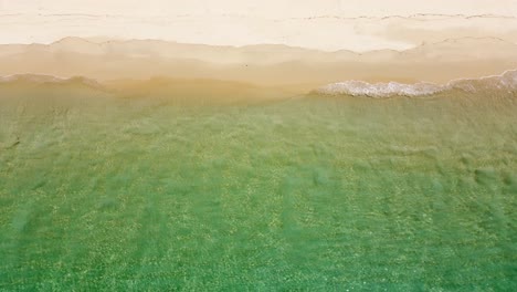 sea wave on a sandy beach