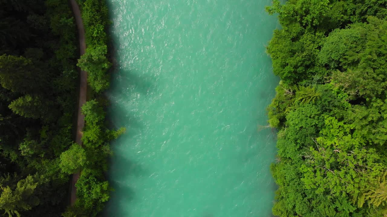 Veduta aerea di un fiume circondato da foresta
