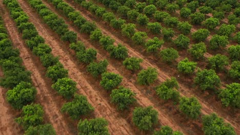 Sumérgete-En-El-Encantador-Mundo-De-La-Vida-Campesina-A-Través-De-Impresionantes-Imágenes-De-Drones-De-Viaje,-Capturando-La-Belleza-Rústica-De-Los-Paisajes-Rurales,-La-Naturaleza-Tradicional