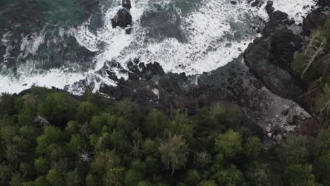 drone shot flying over forest to reveal the pacific ocean on vancouver island, british columbia