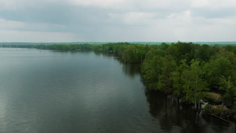 Tranquila-Escena-De-La-Naturaleza-En-El-Parque-Estatal-Reelfoot-Lake-En-El-Noroeste-De-Tennessee,-Estados-Unidos