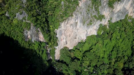 Acantilado-De-Piedra-Caliza-Boscosa-Y-Paisaje-Insular,-Vista-Aérea-De-Drones