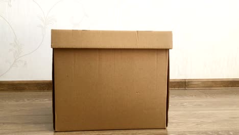 schöne ingwerkatze sitzt in einer kartonbox. das flauschige haustier versteckt sich unter der kastenhülle