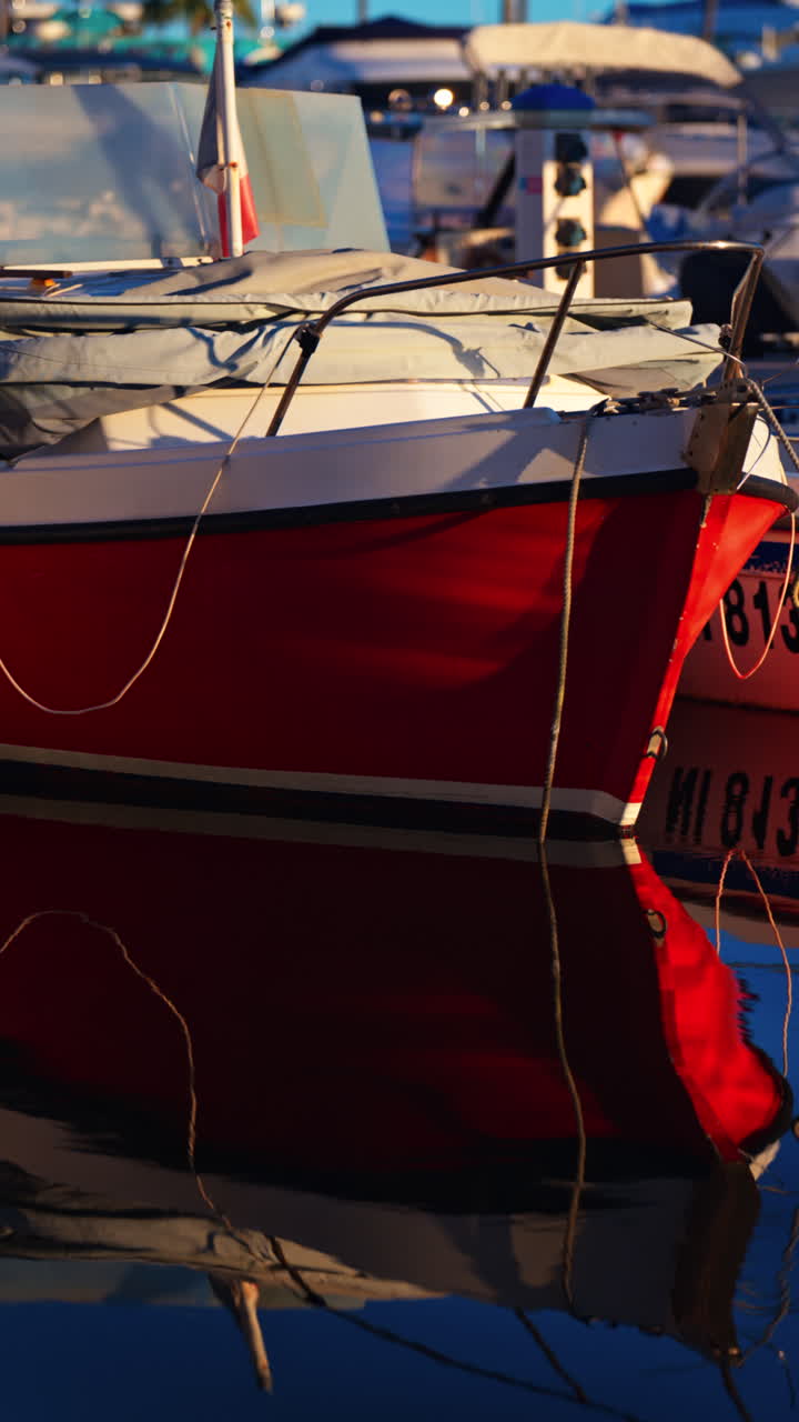 Juan-les-Pins, France - January 25, 2025: Multiple white boats docked in the Port Vauban, Antibes with palm trees on the background. Vertical
