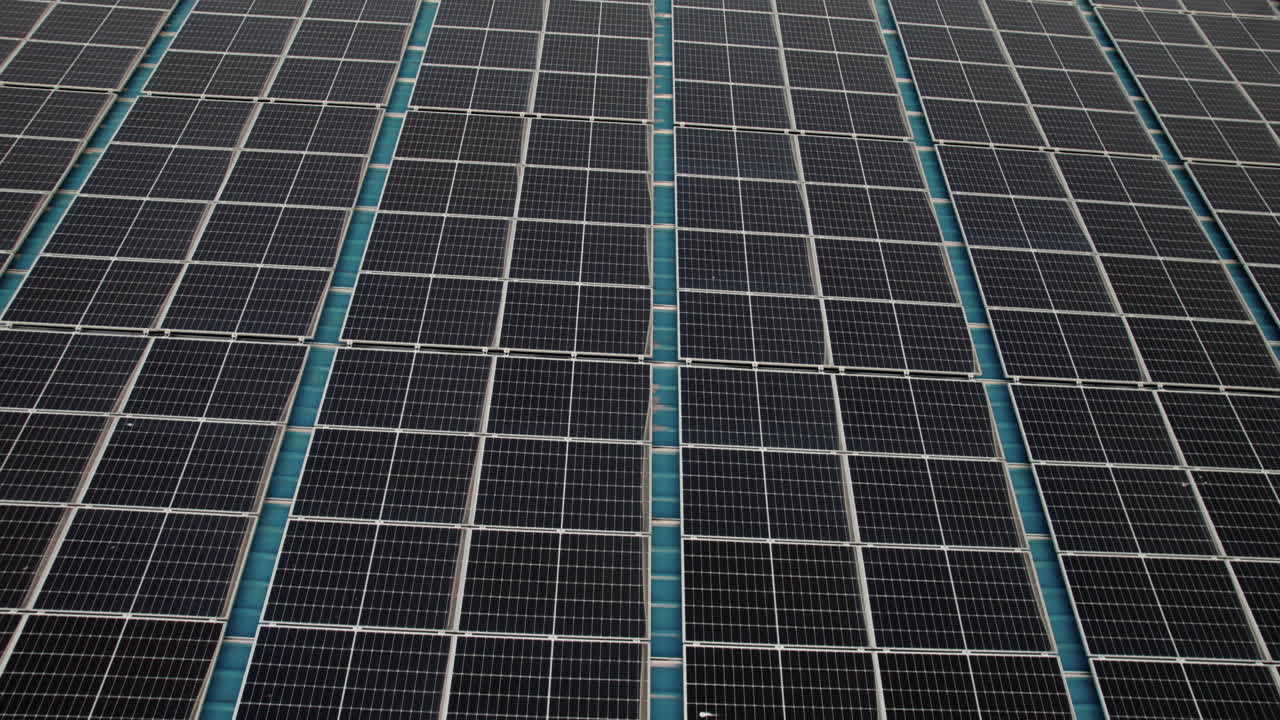 primer plano de la ecología planta de energía agrícola de células solares tecnología ecológica