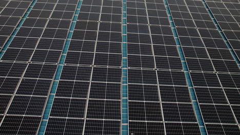 primer plano de la ecología planta de energía agrícola de células solares tecnología ecológica