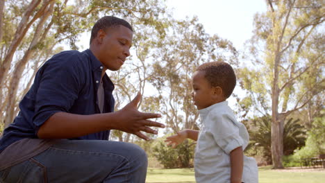 mixed race father playing with his young son in the park