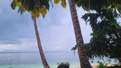 Deserted-Tropical-Beach,-Sandy-Shore-Under-Bent-Palm-Trees,-Revealing-Shot