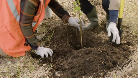 Close-up-view-of-the-feet-of-an-activist-pushing-the-shovel-in-the-ground-while-a-coworker-planting-a-tree-in-the-forest