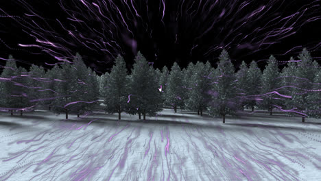 purple light trail bursting over multiple trees on winter landscape against black background