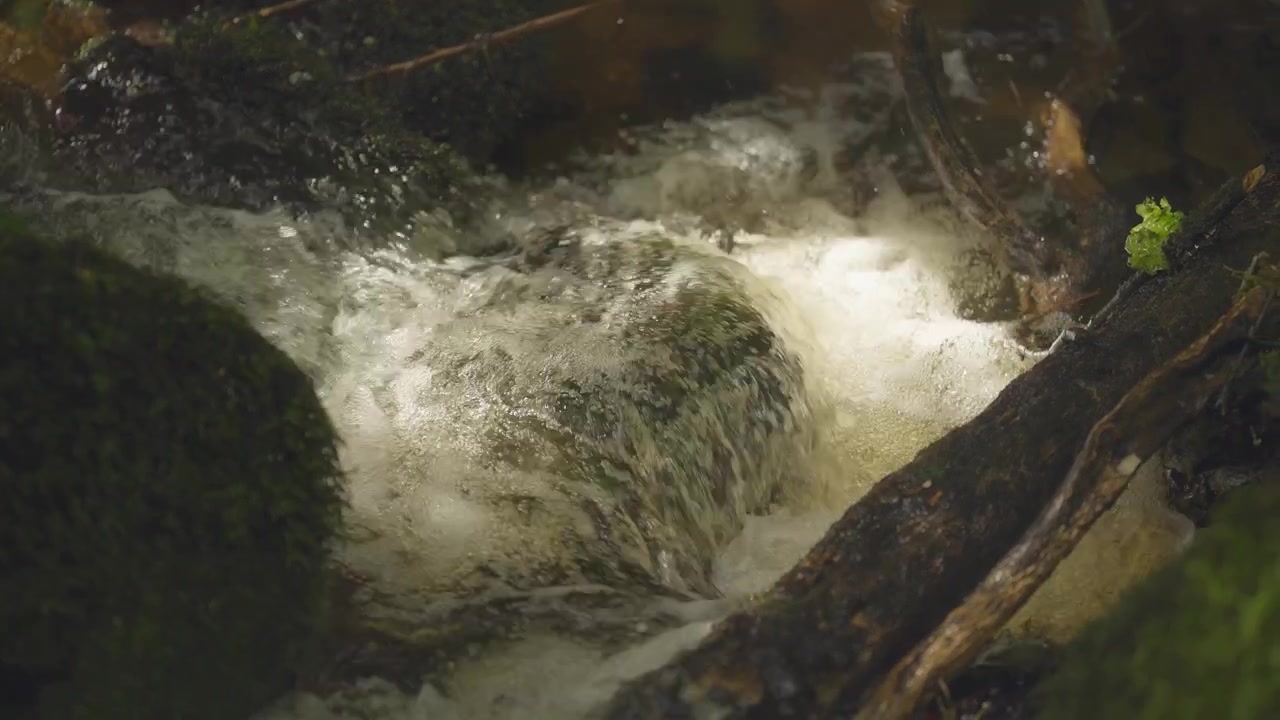 Acqua che scorre sulla roccia in un piccolo ruscello con un tronco d'albero caduto, slow motion