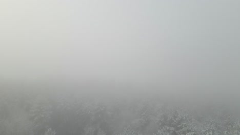 a 4k aerial shot emerging from a dark snowy, foggy forest