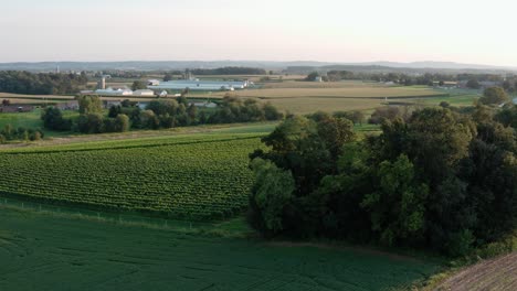 Revelación-Aérea-De-Un-Viñedo-De-Uva-En-El-País-Del-Vino