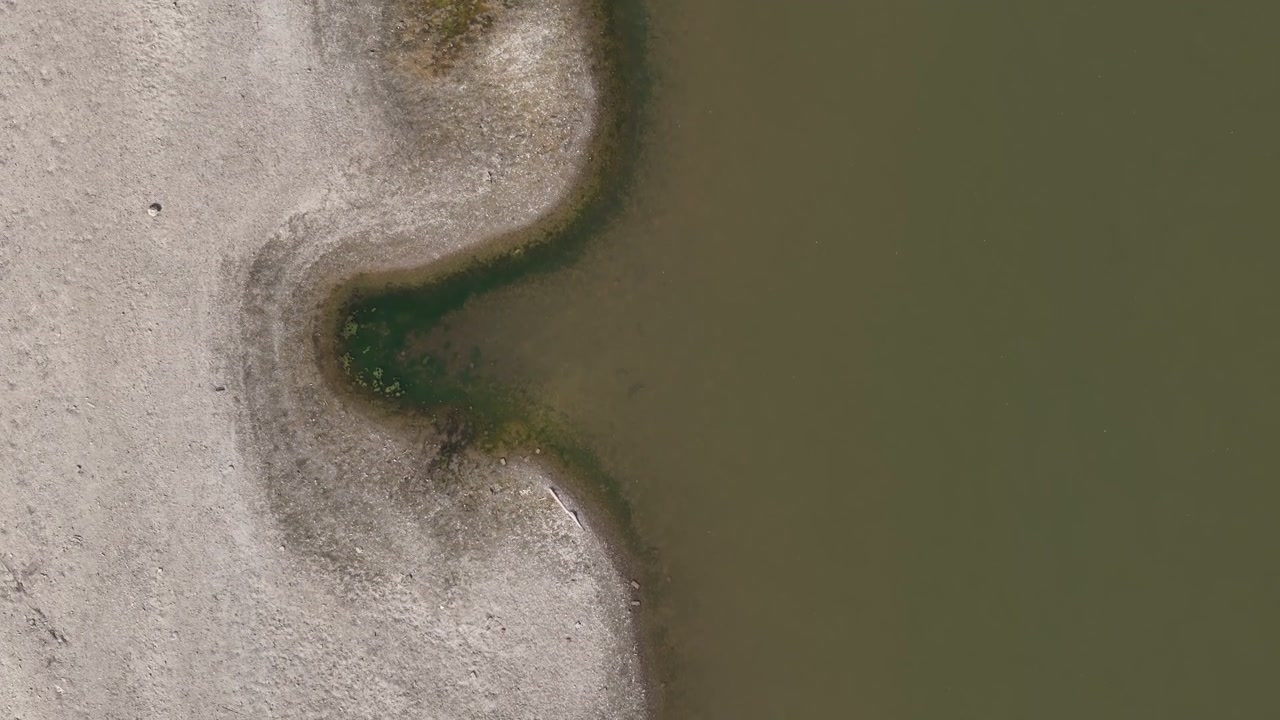Po River reveals exposed sandy banks and shallow water during drought near Castelvetro Piacentino, Piacenza, Emilia Romagna, Italy, with green algae along the receding shoreline, top down drone forwar
