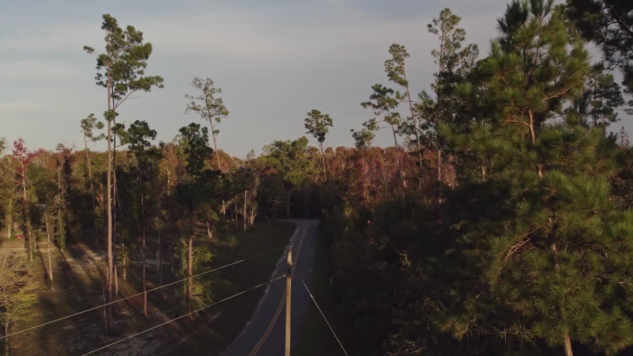 Aerial flight through pine forest and heading down a road