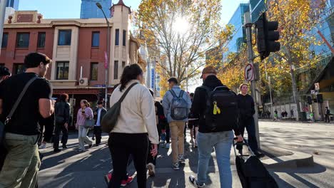 grupo cruzando la carretera en melbourne, día soleado