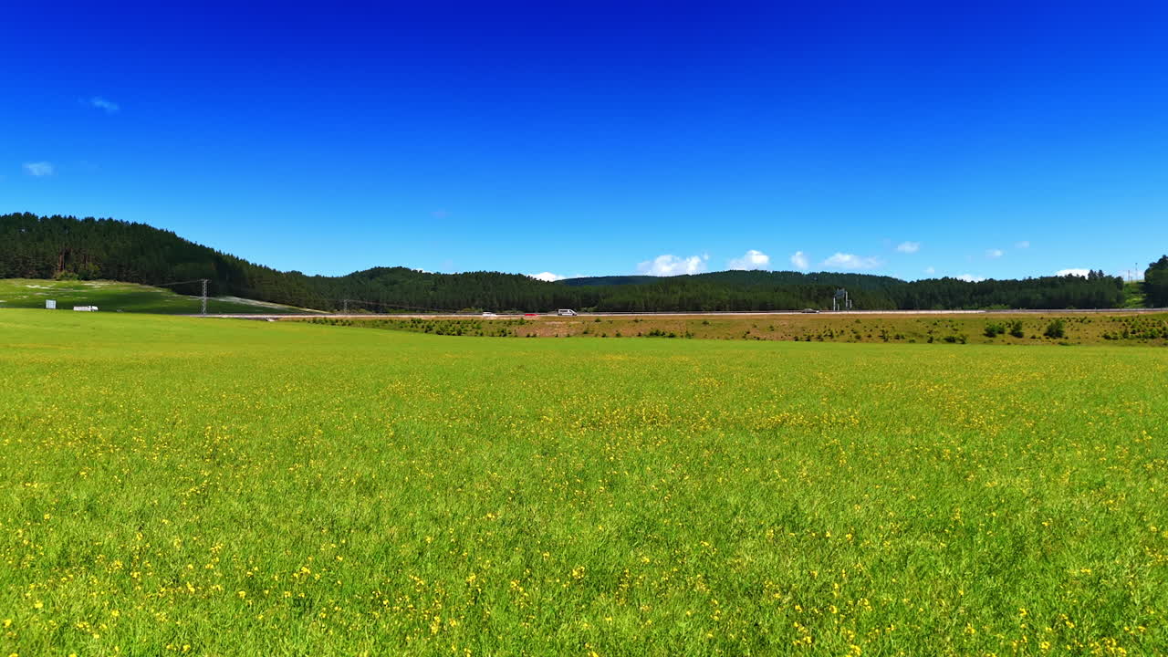 Bright green meadow under clear blue sky. Lush green field filled with wildflowers under a brilliant blue sky on a sunny day in a rural landscape