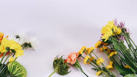 arreglo de flores coloridas sobre fondo blanco