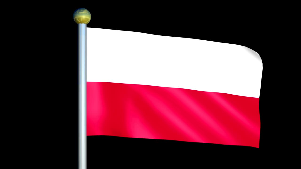 폴란드의 큰 루핑 애니메이션 발