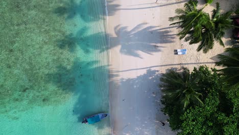 empty beach with palm tree shadow in the morning