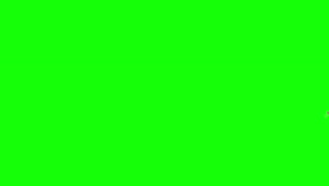 papel blanco quemando, revelando pantalla verde. el papel quema, humo y se convierte en ceniza. ardiente fuego caliente llama quemar papel en ceniza de carbón oscuro. transiciones de animación para proyectos. canal alfa