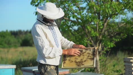 beekeeper is working with bees and beehives on apiary. beekeeping concept.
