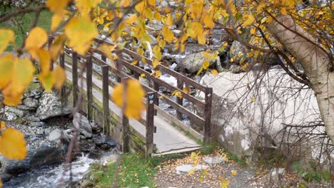 fresh splashing river wooden footbridge through golden autumn tree leaves dolly right