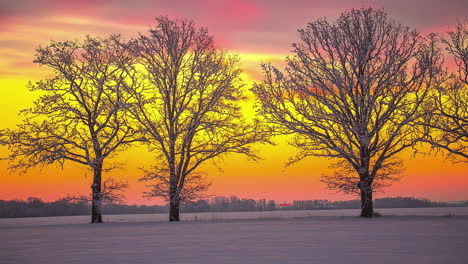 Standbild-Eines-Sonnenuntergangs-Mit-Wolken,-Die-über-Den-Bunten-Himmel-Ziehen,-Und-Trockenen-Bäumen