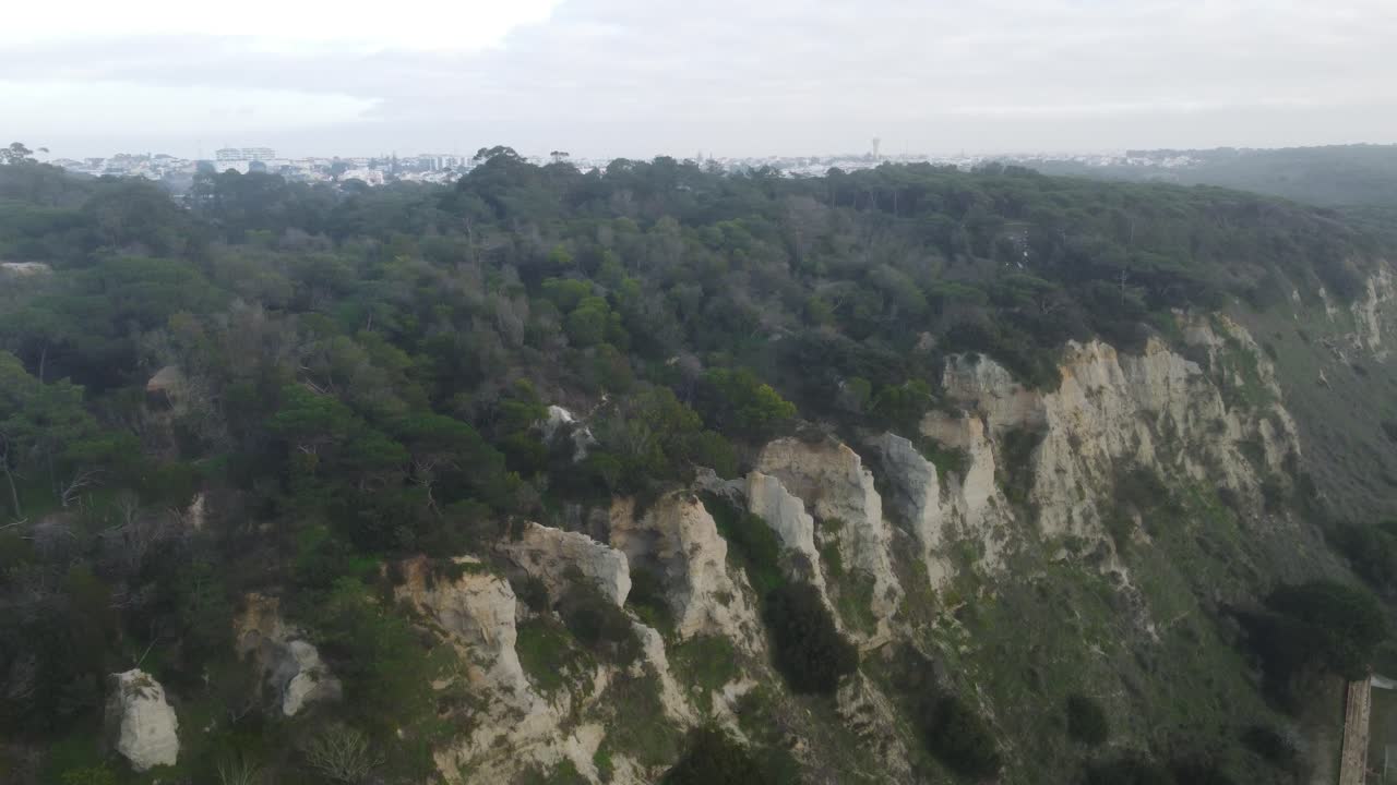 Shot from a drone flying sideways over a forest on top of a cliff in Portugal.