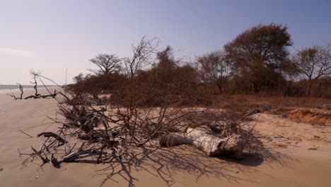 Pan-Blick-Auf-Den-Strand