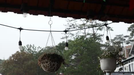 houseplants in decorative planters hanging on porch on rainy day