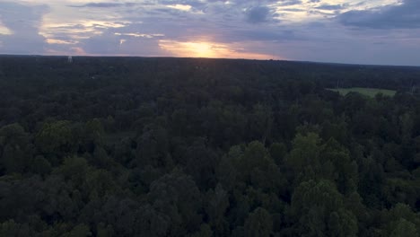 sunset over tree canopy 4k drone fly over in southern alabama