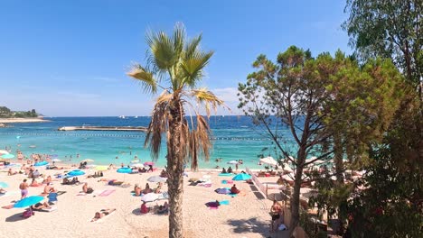 tourists enjoying a sunny beach in monte carlo