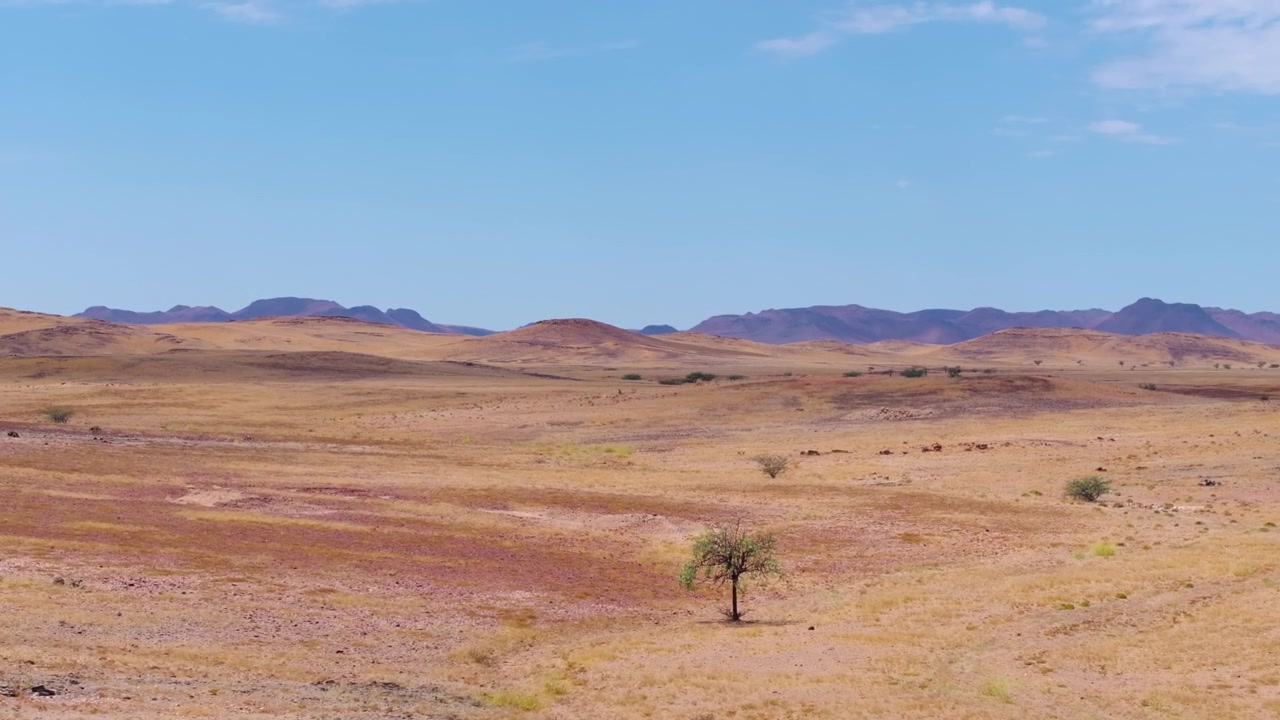 Vista de drone das planícies áridas de Damaraland com uma árvore solitária e uma montanha mesa baixa no horizonte. Árvores esparsas e grama seca se estendem pelas vastas planícies áridas em direção a distantes montanhas mesa azuis.