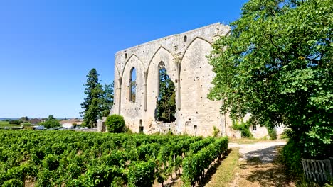 vineyard with historic ruins and lush greenery