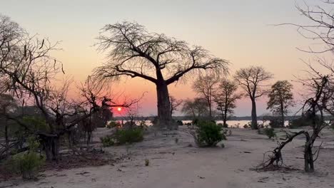 View from a safari vehicle during the sunset in Liwonde National Park. Malawi.
