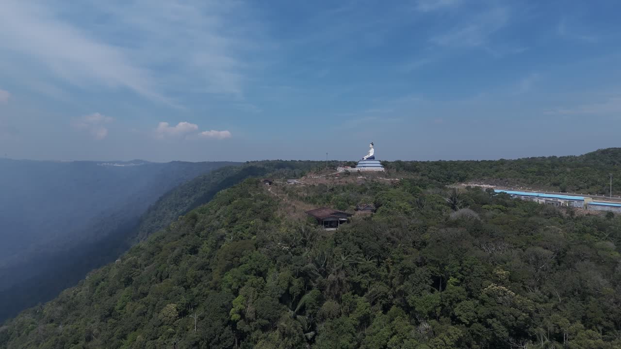 Aerial view of Buddha statue on a hill