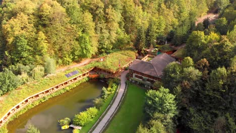 eco-friendly lodge in a forest landscape