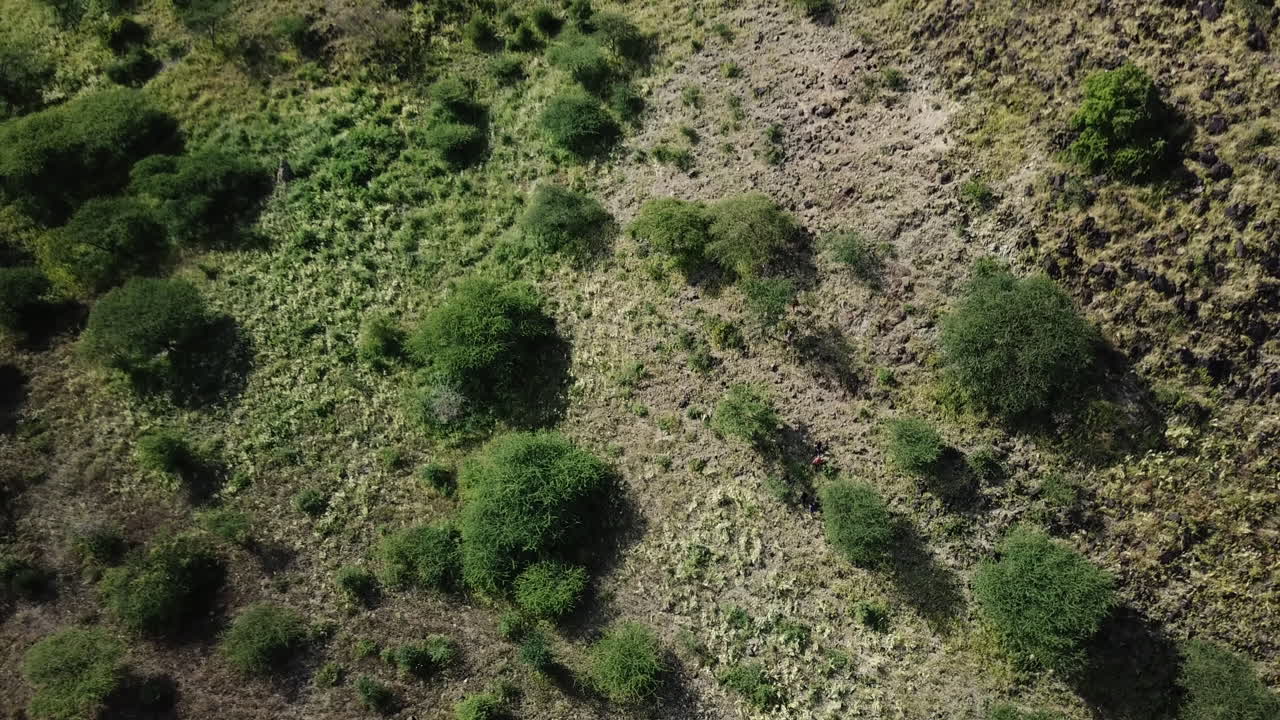 vista de drones alejándose de los excursionistas con sherpas escalando una montaña verde en el este de áfrica