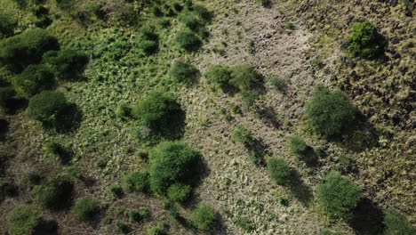 Vista-De-Drones-Alejándose-De-Los-Excursionistas-Con-Sherpas-Escalando-Una-Montaña-Verde-En-El-Este-De-África