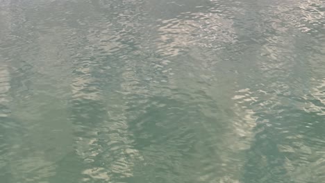 에스테로 베이 (estero bay) 의 오전 공중 사진