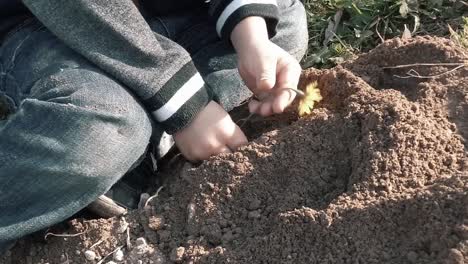 child planting a yellow flower