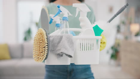 basket, tools and a person holding cleaning