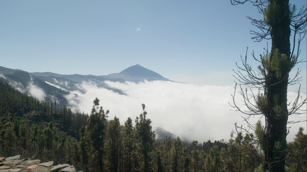 timelapse desde el bosque de pinos con el volcán pico del teide en tenerife, islas canarias en primavera