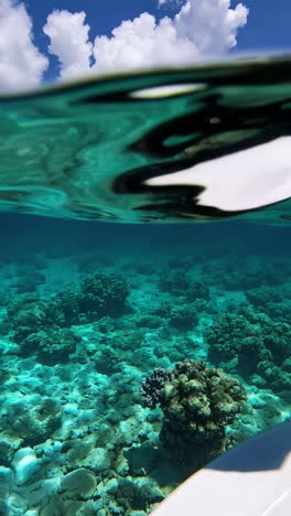 stunning split view of tropical coral reef and ocean sky