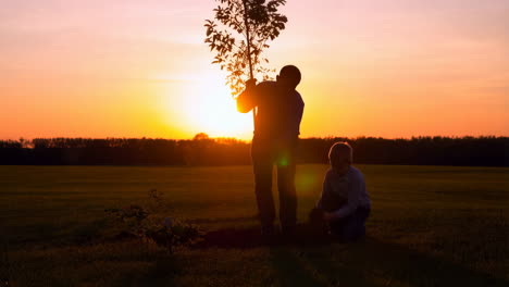Silhouettes of a father and son planting a tree at sunset
