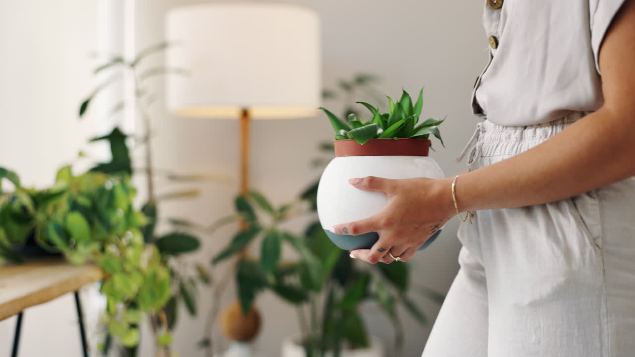 Femme tenant une plante grasse