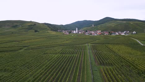 aerial view of an idyllic alsatian village surrounded by rolling green vineyards and gentle hills, with a white church steeple rising in the distance under a soft sky