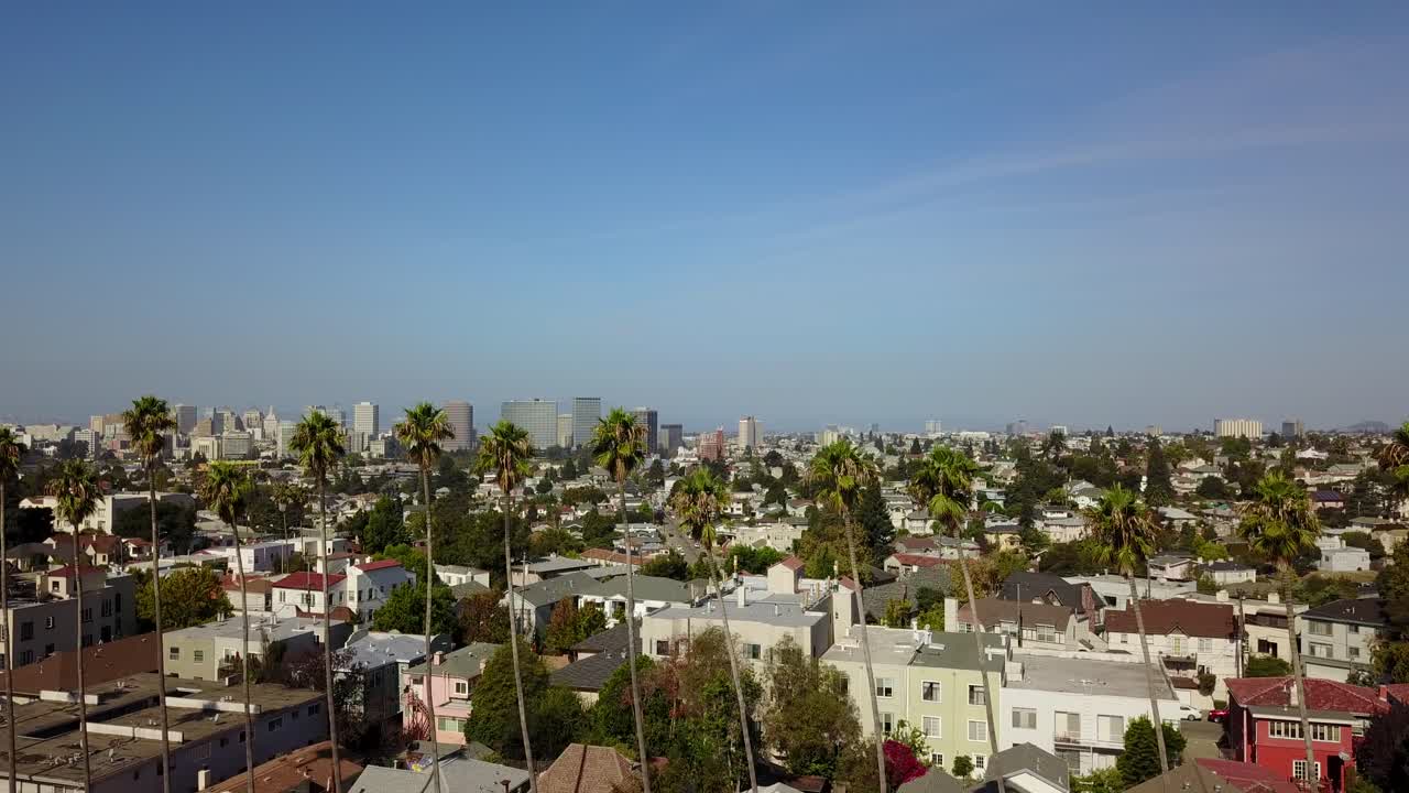 Aerial of Palm Trees in California